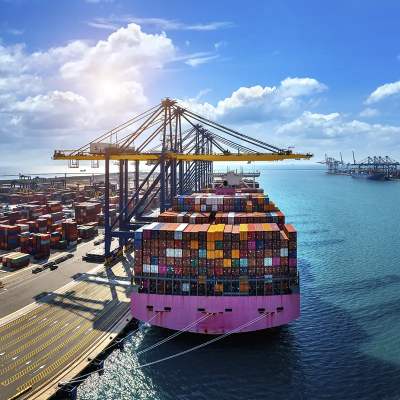 Máster en Derecho Aduanero y Comercio Internacional - SKR Escuela de Gobierno Thumbnail